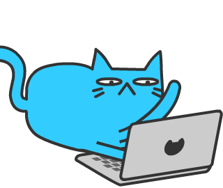 programmer cat